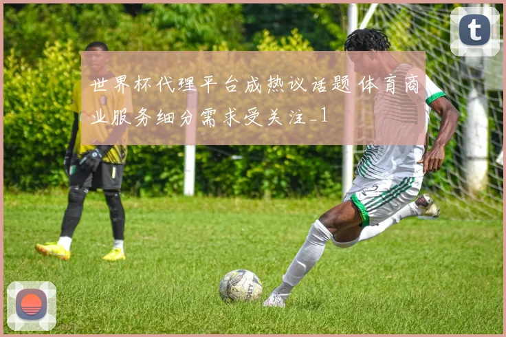 世界杯代理平台成热议话题 体育商业服务细分需求受关注_1