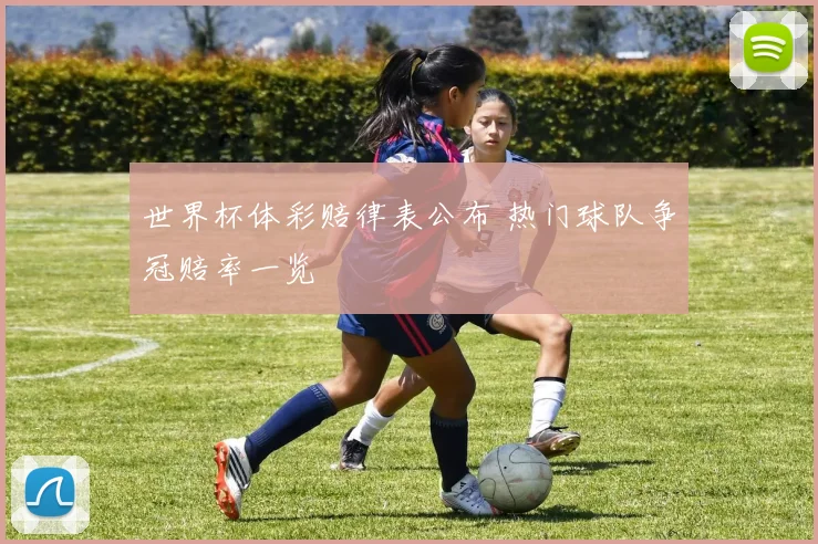 世界杯体彩赔律表公布 热门球队争冠赔率一览