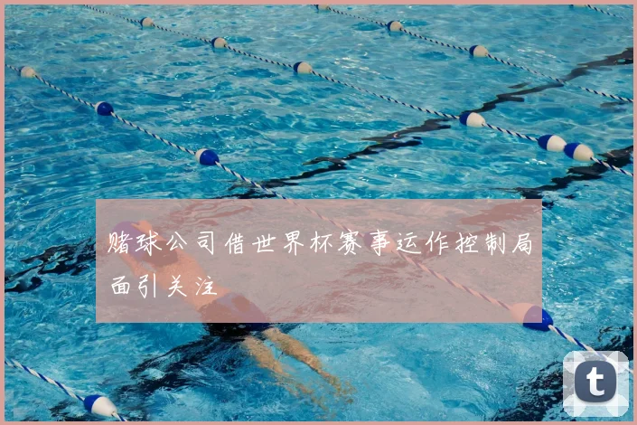 赌球公司借世界杯赛事运作控制局面引关注